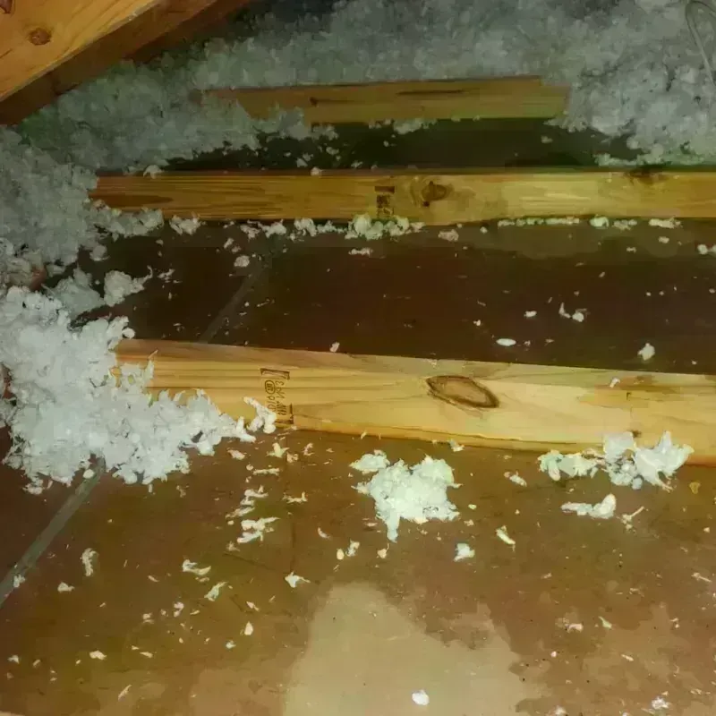 Attic Water Damage in Lake City, IA