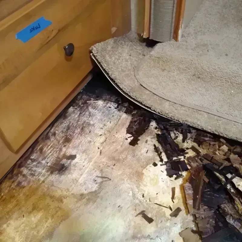 Wood Floor Water Damage in Lake City, IA